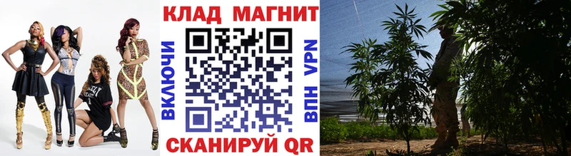 Купить закладку Гашиш  А ПВП  МЕФ  Канабис  Мелеуз