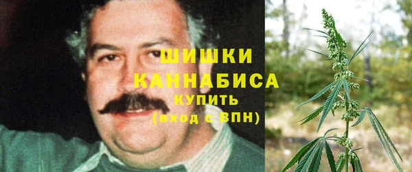 дурь Мегион