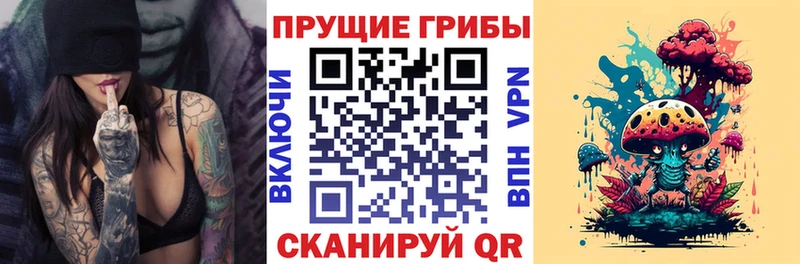 Купить закладки  Мелеуз  Псилоцибиновые грибы прущие грибы 